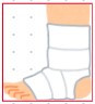 ankle